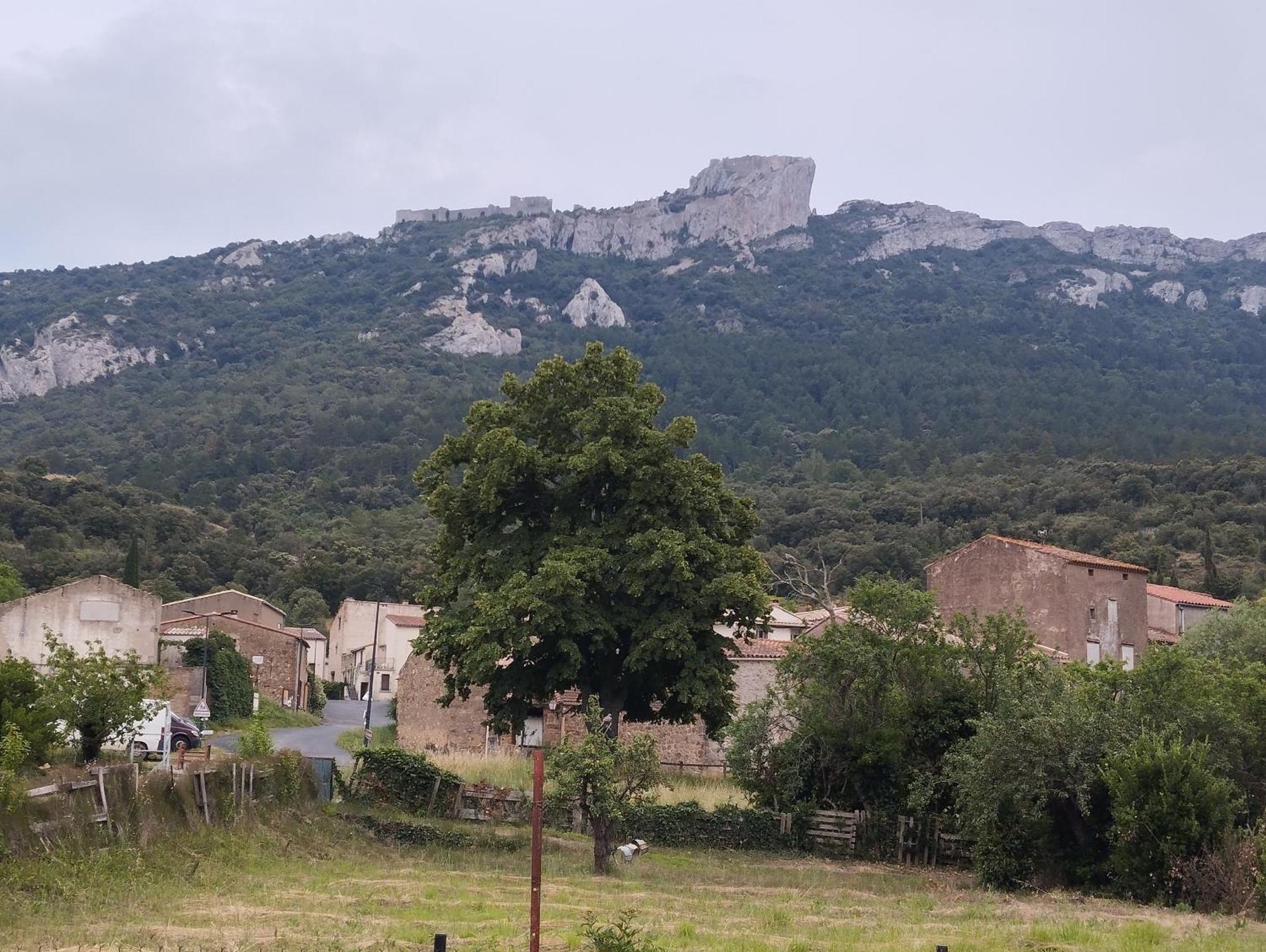 Maison Du Verdouble Rouffiac-des-Corbières Exterior foto